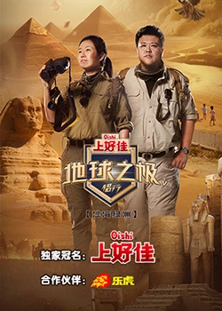 功夫咏春杨紫琼海报剧照